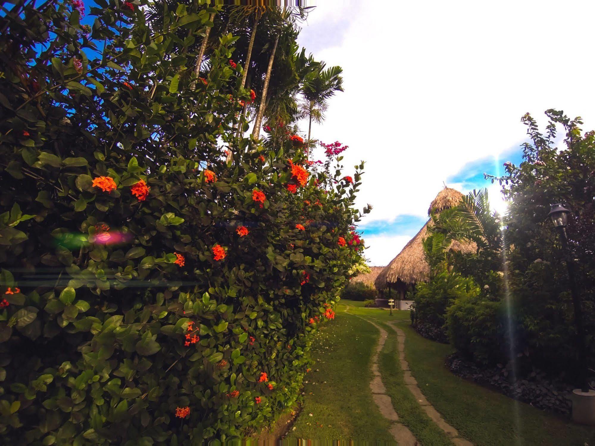 Kariwak Village Holistic Haven Crown Point Exteriör bild